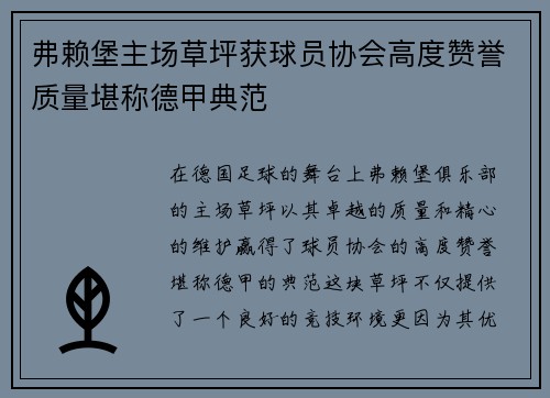 弗赖堡主场草坪获球员协会高度赞誉质量堪称德甲典范