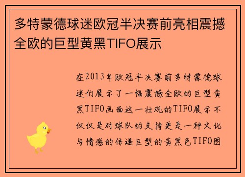 多特蒙德球迷欧冠半决赛前亮相震撼全欧的巨型黄黑TIFO展示